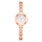 LVPAI High Quality Fashion Steel Strip Women watches