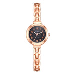 LVPAI High Quality Fashion Steel Strip Women watches