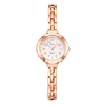 LVPAI High Quality Fashion Steel Strip Women watches